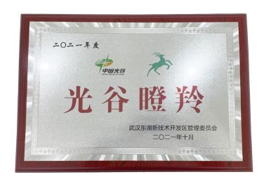 喜報(bào)|英特姆醫(yī)療榮獲“光谷瞪羚”稱號(hào)