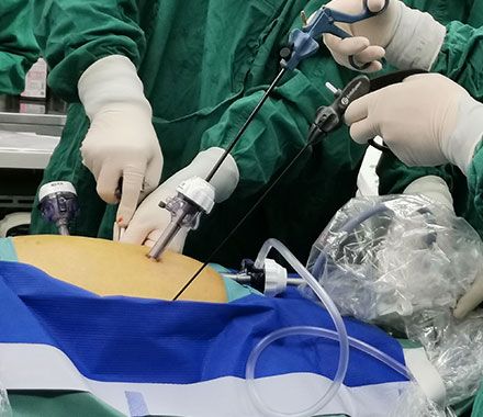 �R�����g(sh��)���_(t��i)